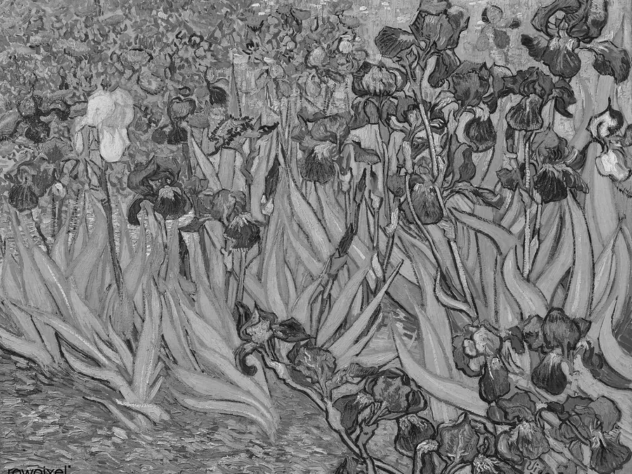Van Gogh, Irises, simulated as mono color vision