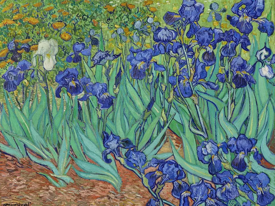 Van Gogh, Irises, in typical color vision