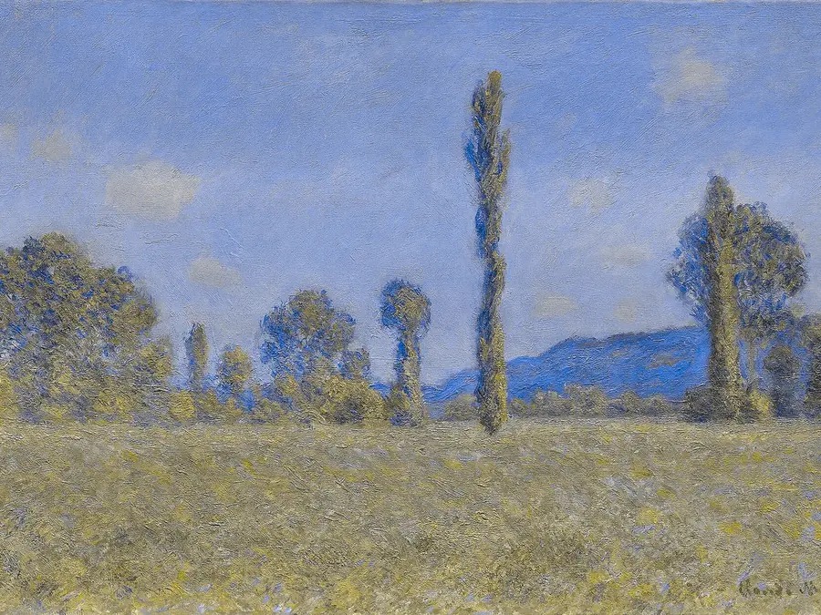 Monet, Poppy Field, simulated as protan color vision