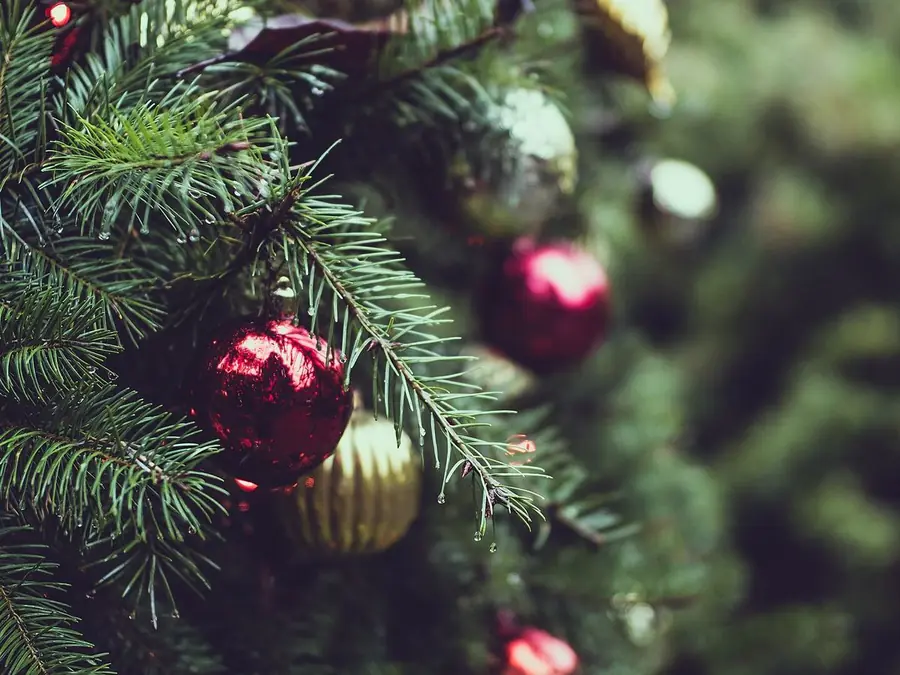 Christmas decorations, in typical color vision