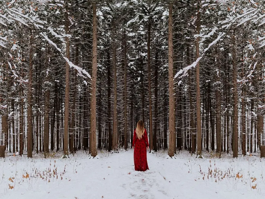 A red cloak in the snow, in typical color vision