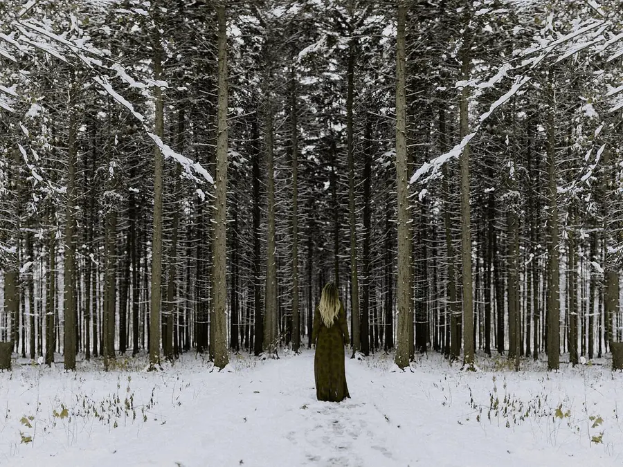 A red cloak in the snow, simulated as protan color vision